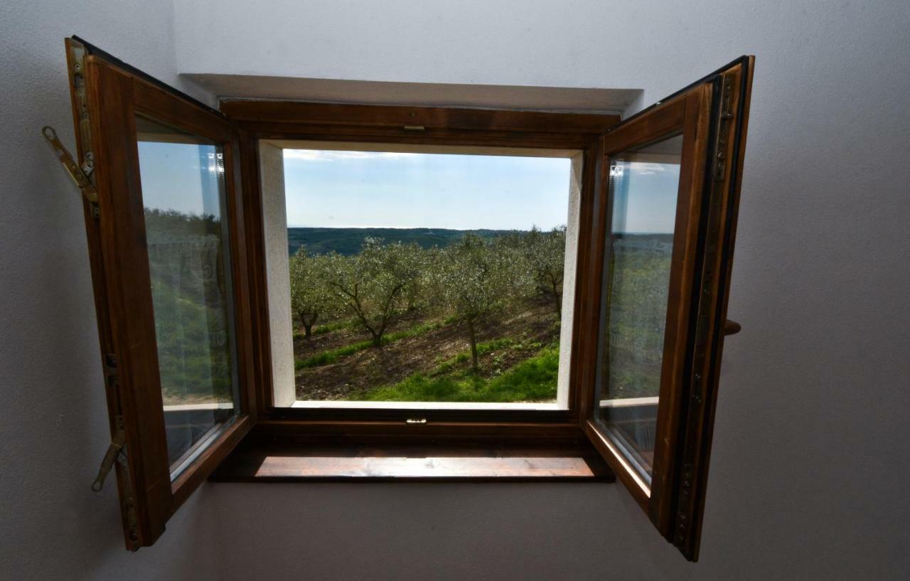 Rooms Agroturizam Romano Buje Exterior photo